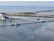 RESIDENCIAL DE OBRA NUEVA EN SAN PEDRO DEL PINATAR