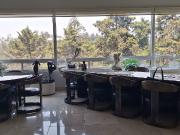 Residencial Lomas, en Lomas de Chapultepec, DEPARTAMENTO...