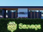 Residencias en pre venta, Jilotzingo Nuevo Esmeralda