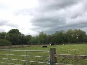 Residential Development Site Castlelambert Athenry Co Galway