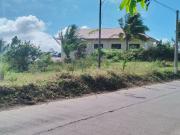 Residential Farm lot along provincial road