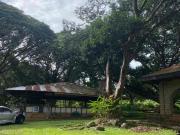 Residential Farm Lot For Sale in Brgy Tungkong Mangga...