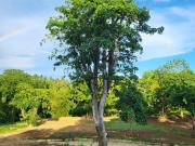 RESIDENTIAL FARM LOT FOR SALE NEAR TAGAYTAY