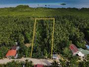 Residential & Farm Lot for Sale – San Francisco, Camotes...