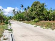Residential farm lot for sale with fresh air in Alfonso,...