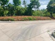 Residential Farm lot in Cavite, 1003 sqm with cool...