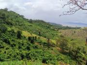 Residential Farm lot in Pilillia Rizal with Laguna lake,...