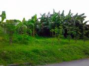 Residential Land for Sale in Better Living Subdivision,... Residential Land for Sale in Better Living Subdivision,...