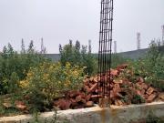 Residential Land for sale in Manesar, Gurgaon P409232
