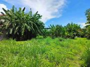 Residential Lot 484 sqm For Sale in Talamban Cebu City