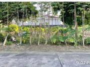 Residential Lot For Sale at BF Homes Las Piñas City