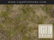 Residential Lot For Sale at Cauayan Isabela