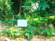 Residential Lot For Sale in Alabang Muntinlupa