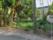 Residential Lot for Sale in Annex 31, Better Living...