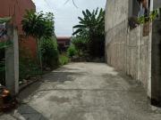 Residential Lot for Sale in Annex 40, Brgy. Don Bosco,...