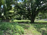 Residential Lot For Sale in Ayala Alabang Village,...