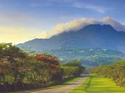 Residential Lot for Sale in Ayala Greenfields Estate,...