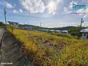 Residential Lot for sale in Compostela