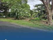 RESIDENTIAL LOT FOR SALE IN LA VISTA SUBDIVISION QUEZON CITY