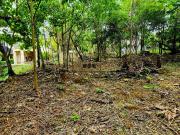Residential Lot for Sale in Northtown Cebu