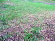 Residential Lot for Sale in San Antonio Village, Makati City
