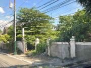 Residential Lot for Sale in United Paranaque Subdivision...