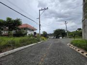 Residential Lot For Sale Prime Maria Luisa South Lot...