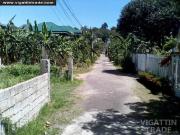 Residential Lot in Bacayan Talamban Cebu City