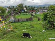 Residential lot in mohon, talisay city, cebu P2.3Mn