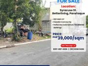 Residential Lot in Parañaque 480sqm