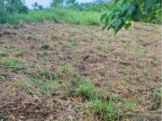 Residential Lot in Victoria Valley For Sale Antipolo, Rizal