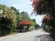 Residential Lot with Old House For Sale in New Manila,...