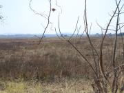 Residential Plot 1089 Sq.Ft. Plot in Old Panvel Navi...