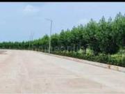 RESIDENTIAL PLOT 1200 sq ft in Bhatagaon, Raipur | Property