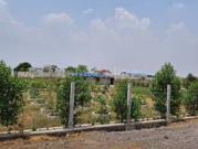 RESIDENTIAL PLOT 2000 sq ft in Naya Raipur, Raipur |...