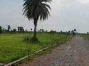RESIDENTIAL PLOT 2000 sq ft in Naya Raipur, Raipur |...
