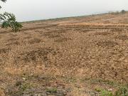 Residential Plot 2178 Sq.Ft. Plot in Uran Navi Mumbai...