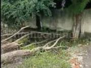 RESIDENTIAL PLOT 425 sq ft in CAT Road, Indore | Property