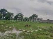 RESIDENTIAL PLOT 5000 sq ft in Dharampura, Raipur | Luxury