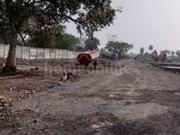 RESIDENTIAL PLOT 900 sq ft in Ayodhya Bypass Road,...
