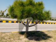 Residential Plot For Sale In DHA Valley Islamabad