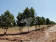 Residential plot for sale in DHA valley Islamabad