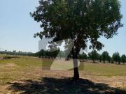 Residential Plot For Sale In DHA Valley Islamabad