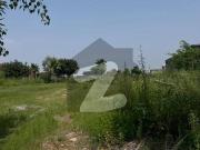 Residential Plot for Sale Zamar Valley