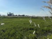 Residential Plot in Achalikhera for resale Lucknow. The...