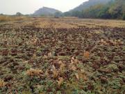 Residential Plot in Adai for resale Navi Mumbai. The...