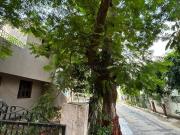 Residential Plot in Alkapuri for resale Vadodara. The...