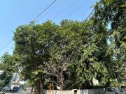Residential Plot in Alkapuri for resale Vadodara. The...