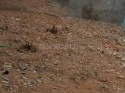 Residential Plot in Amberpet for resale East Hyderabad....