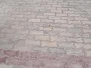 Residential Plot in Andawa for resale Allahabad. The...